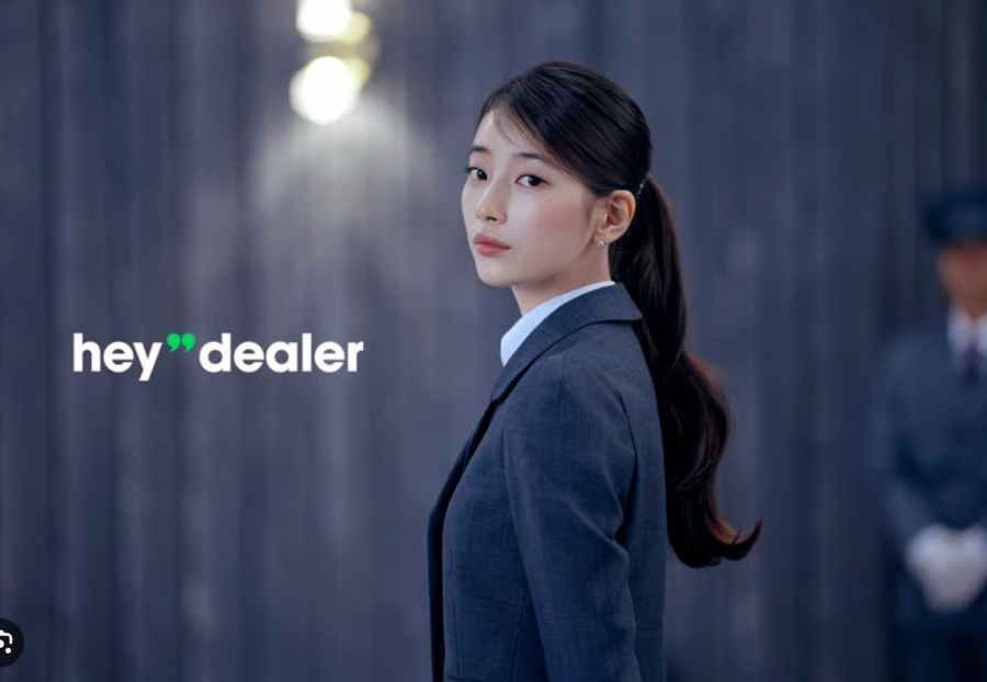 헤이딜러
