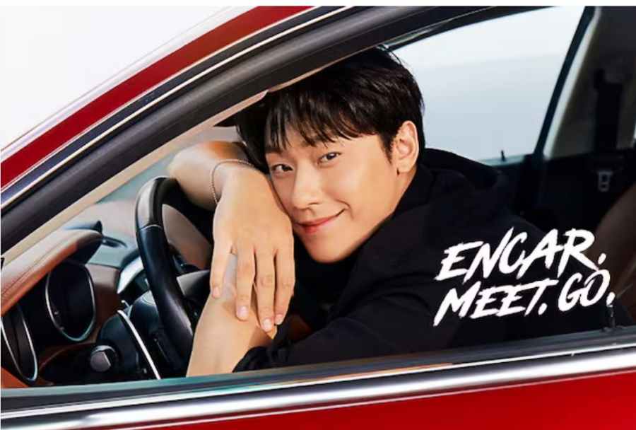 헤이딜러